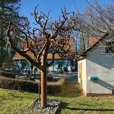 Apartment 4 - Gourmetzimmer *